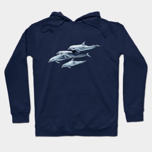 Dolphins Hoodie